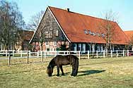 Fachwerkhofgebäude Schulze Brockhausen, am Hof Lütke Bornefeld, Wieningen 19