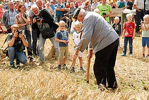 Getreide-Ernte am 26. Juli 2015 - Vorfhrung des Mitmach-Museums