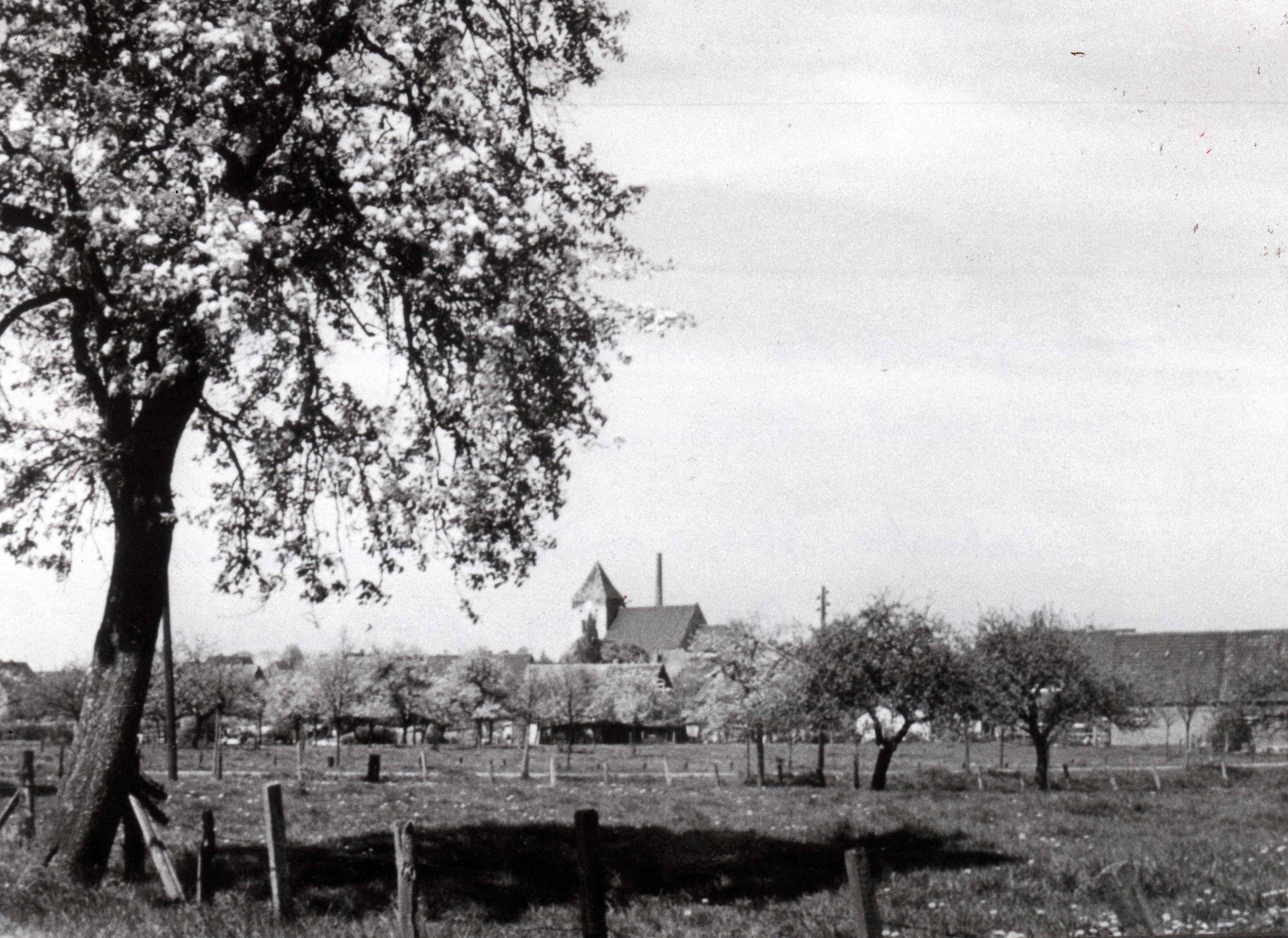 Ansicht von Südosten, Nähe Möbel Lohmann, Bauerschaft Erter 