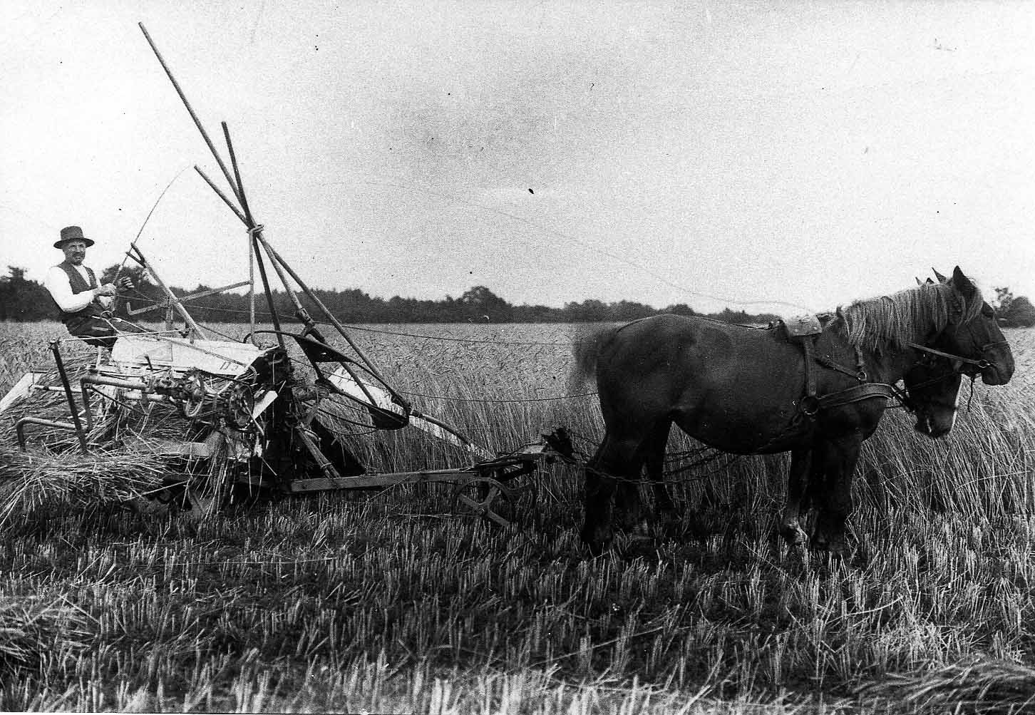 Selbstbinder mit Garbentrenner der Maschinenfabrik Gebrüder Lohmann