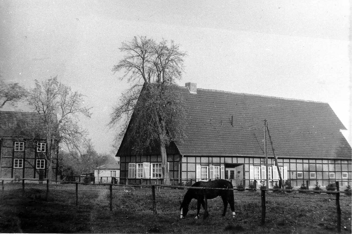 Hof Wieningen 2 / Weddehage 