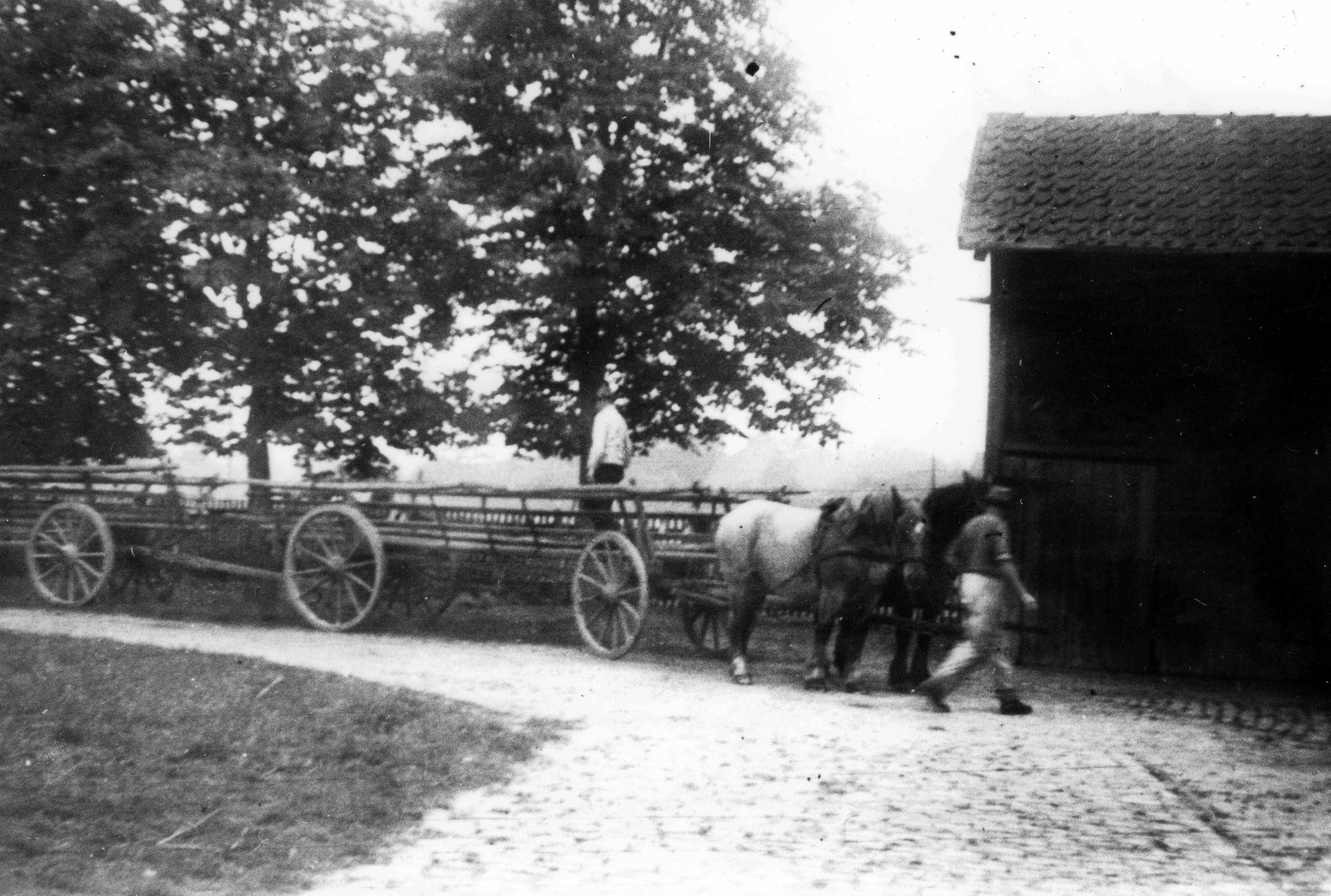 Ringsenwagen für die Ernte