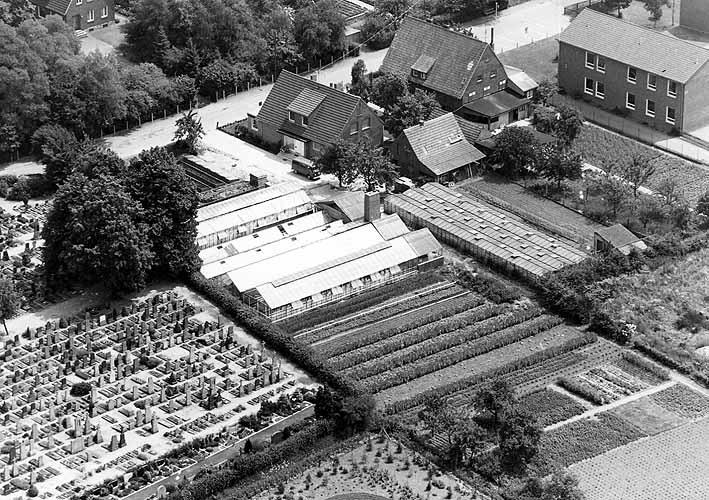 Luftbild der Worthstraße mit der Gärtnerei Jüttner und dem Friedhof