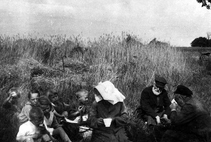 Pausenzeit auf dem Pachtland Kirchfeld in der Bauerschaft Wester 