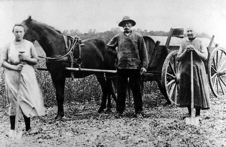 Feldarbeit in der Bauerschaft Versmar