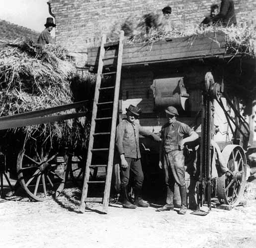 Das Dreschen des Korns mit Bellmanns Dreschkasten