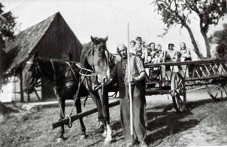 Ein Pferd vor einem Ringsenwagen