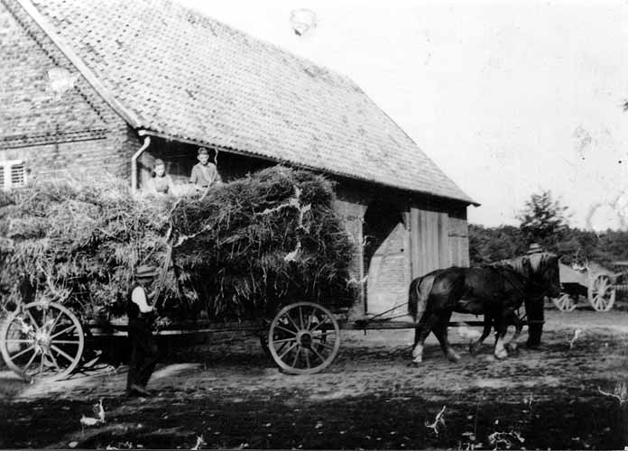 Getreideernte auf dem Hof Averfeldt