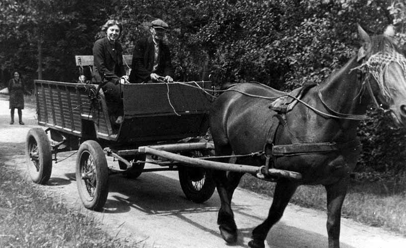 Pferd und Wagen vom Hof Kosmann-Dahlhoff auf dem Weg im Sundern 