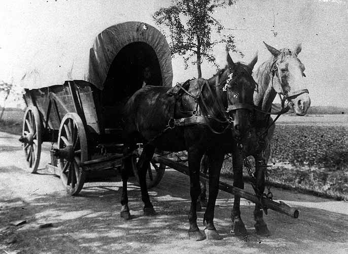 Pferdefuhrwerk mit Planwagen von Franz Dagehues, Vitusstraße 17 (100)