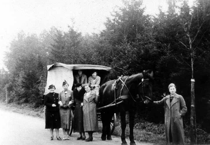 Pferdedroschke des Besitzers Utendorf zwischen Everswinkel und Bahnhof Raestrup