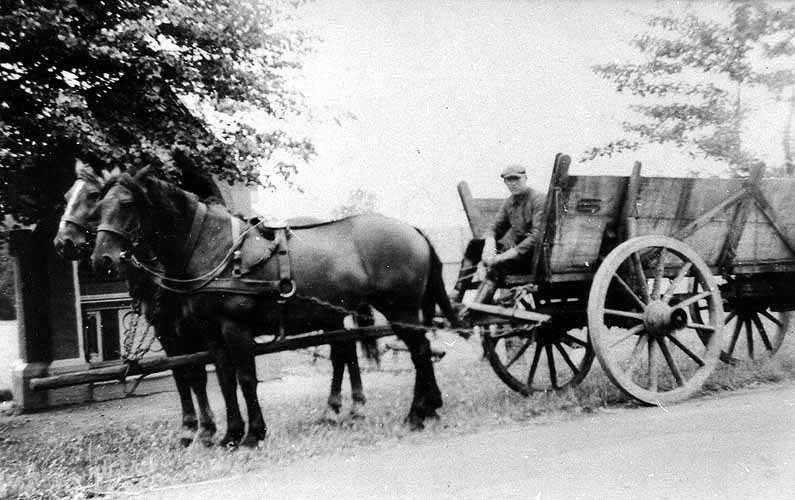 Fuhrwerk der Kohlenhandlung Bernhard Raumberg