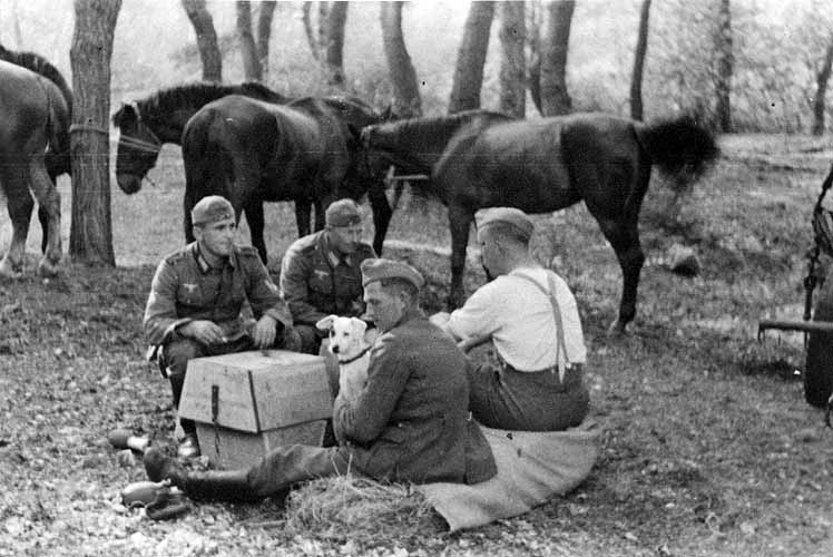 Verschnaufpause für Soldaten und Pferde nach einem langen Marsch 